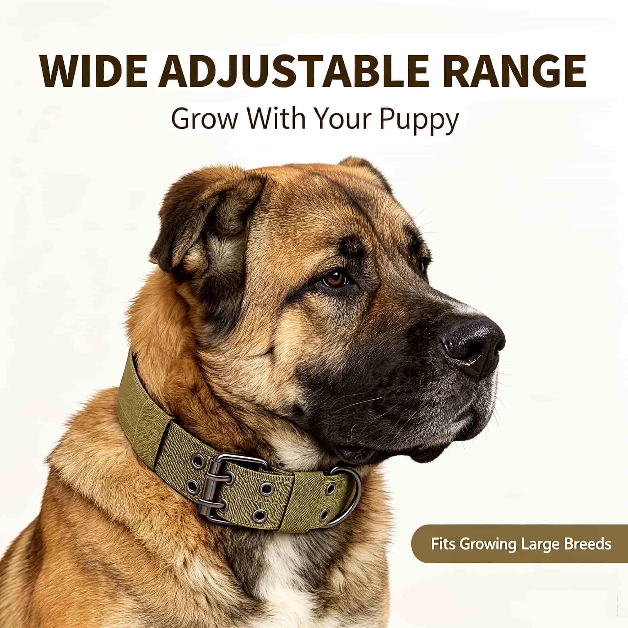 Тактический ошейник для собак  – обзор и цена Outdoor Hunting Dog Collar