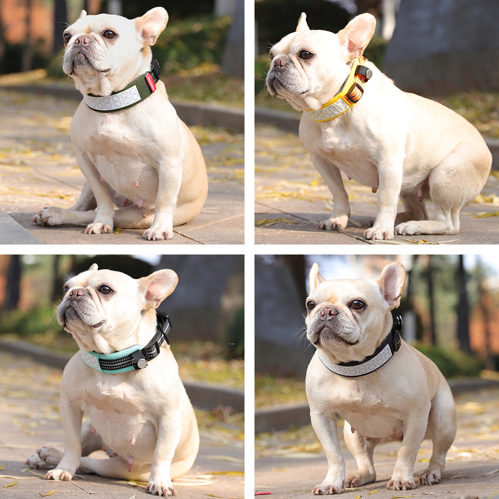 Светоотражающий ошейник для кр – обзор и цена Outdoor Hunting Dog Collar