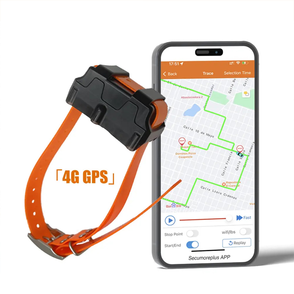 CY09A Портативный GPS-трекер д – обзор и цена Outdoor Hunting Dog Collar