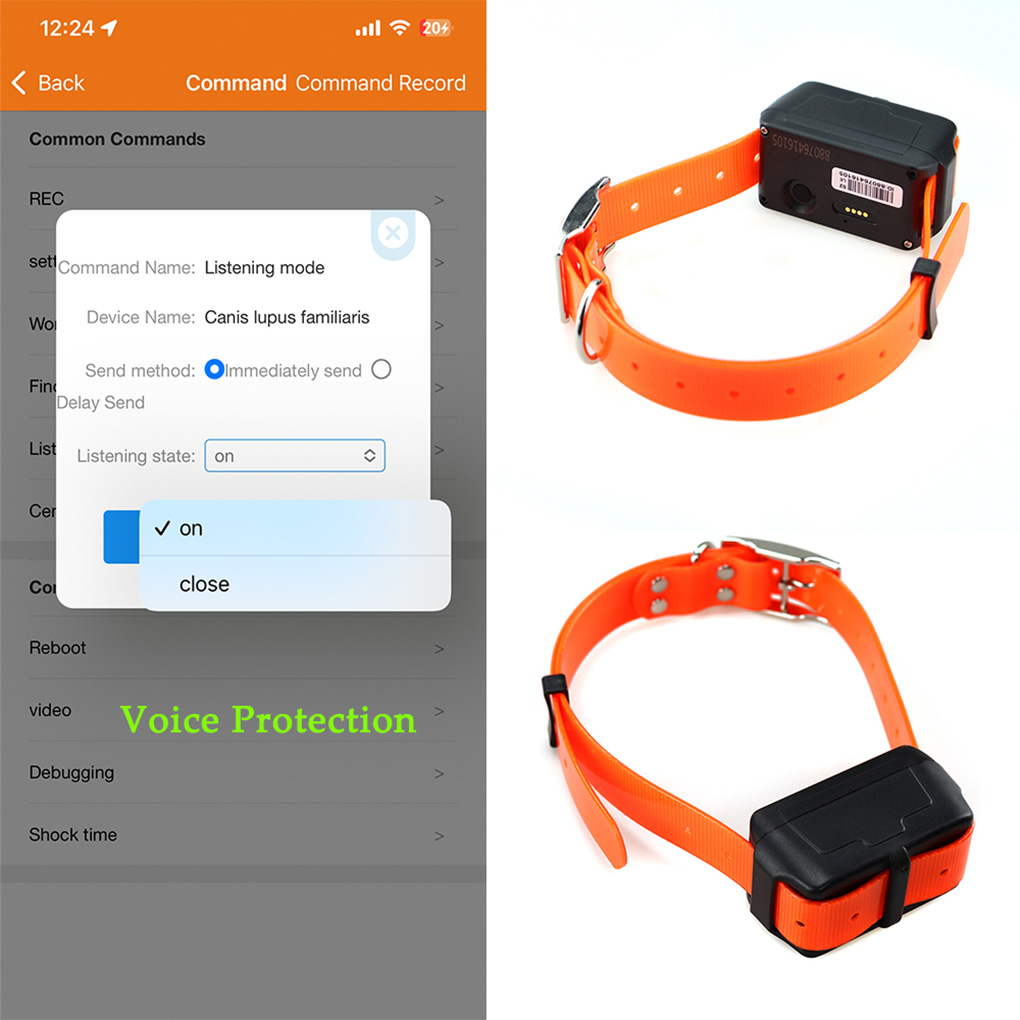 CY09A Портативный GPS-трекер д – обзор и цена Outdoor Hunting Dog Collar