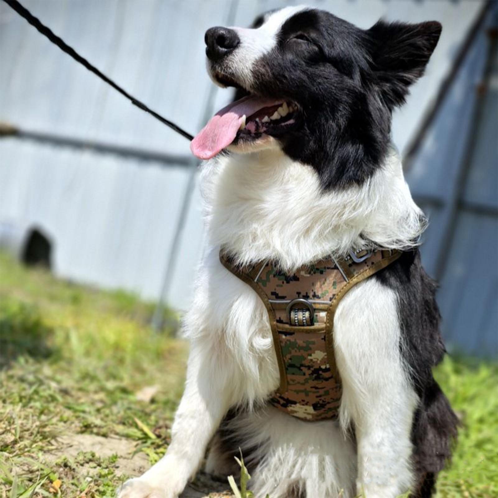 Сверхмощная шлейка для собак б – обзор и цена Outdoor Hunting Dog Collar
