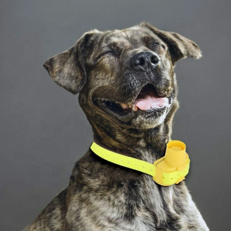 Обновленные водонепроницаемые  – обзор и цена Outdoor Hunting Dog Collar