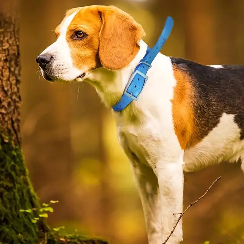 Ошейник безопасности для домаш – обзор и цена Outdoor Hunting Dog Collar