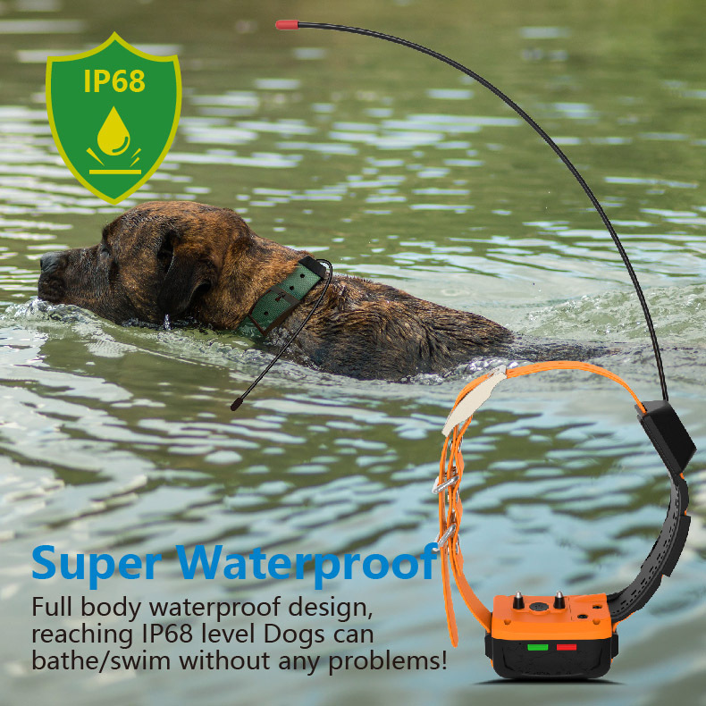 Оптовая продажа: 4G GPS-ошейни – обзор и цена Outdoor Hunting Dog Collar