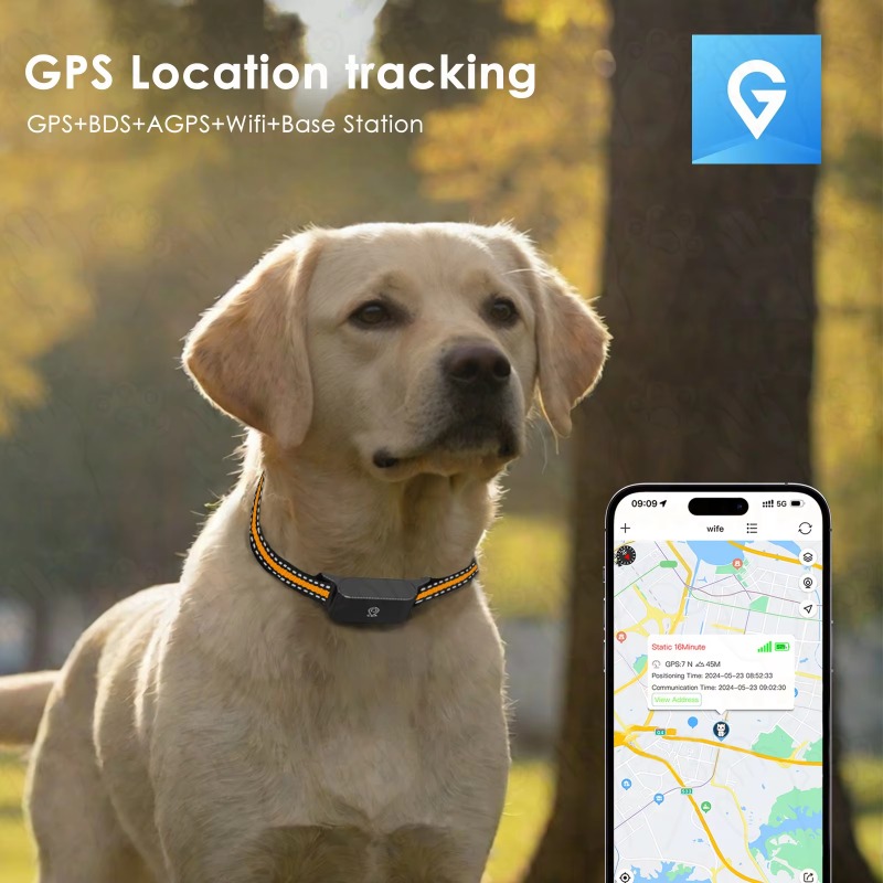GPS-трекер для собак: водонепр – обзор и цена Outdoor Hunting Dog Collar